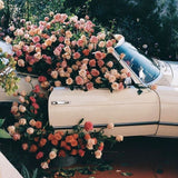 Rent a Classic car Renault Caravelle, the Bardot