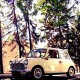 Rent a Classic Car Mini  1000