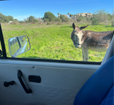 Rent a Campervan a icône Classic Combi Volkswagen T3 Westfalia (2pax) from Faro for Your van and surf trip in Algarve coast Portugal