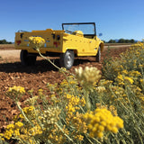 Rent a Classic car Citroen Mehari