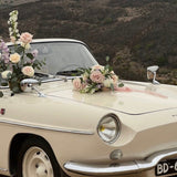 Rent a Classic car Renault Caravelle, the Brigitte