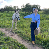 Rent a campervan classic (4 pax) VOLKSWAGEN T3 from Faro for Your van and surf trip in Algarve coast Portugal