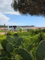 Alugue uma carrinha Volkswagen T4 Camper em Faro para a sua viagem de carrinha no Algarve, Portugal