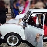 Rent a Classic Car Mini  1000