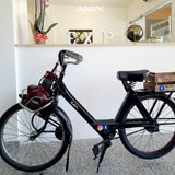 Rent a Classic Motorcycle Solex the Sofia