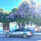 Rent a Classic car Aston Martin Vanquish