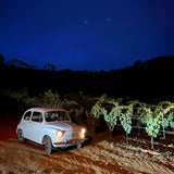 Rent a Classic car Fiat 600