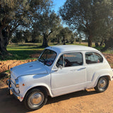 rent classic cat portugal