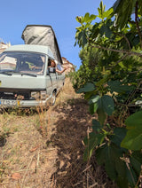 Rent a campervan  Toyota Hiace Camper (4 pax)  from Faro for Your van trip in Algarve coast Portugal