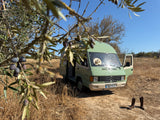 Rent a Camper Van mercedes MB 100 from Faro for Your van trip in Algarve coast Portugal verde