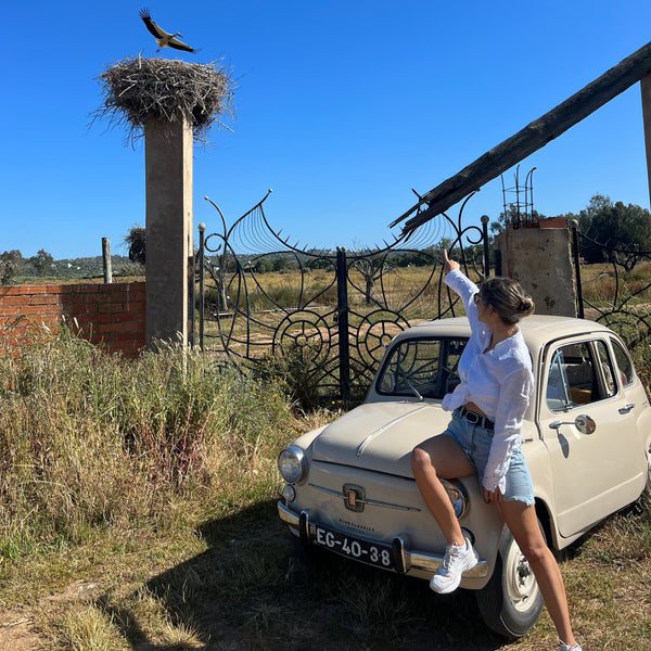 Rent a classic car Fiat 600D