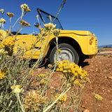 Alugue um carro clássico Citroen Mehari